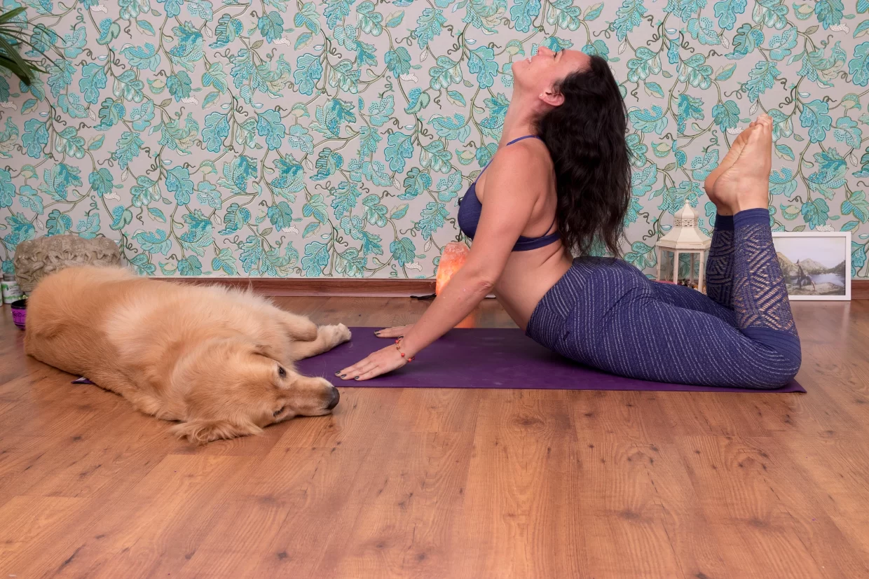 beneficios yoga claudia faria praticando yoga com seu cão - benefícios do yoga para a saúde