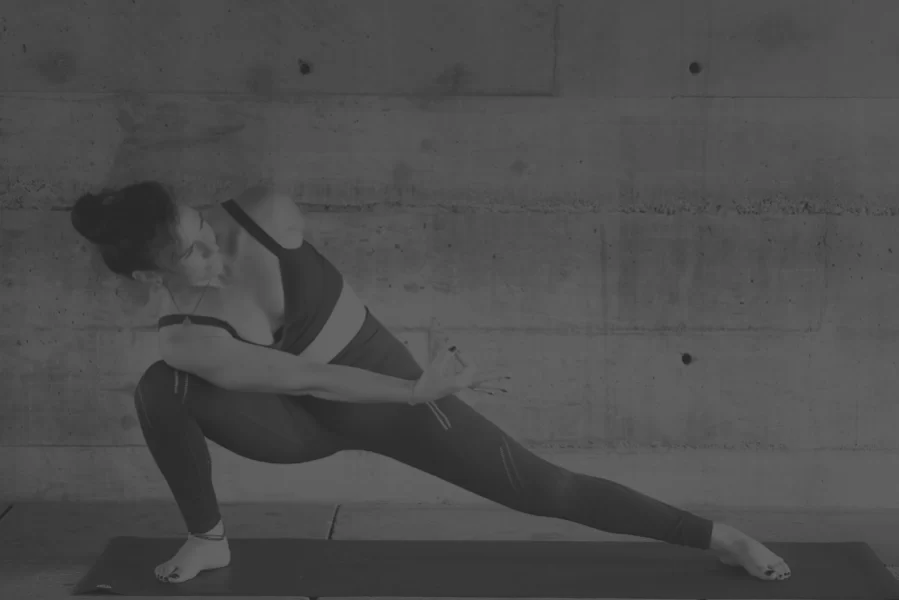 ya-banner-de o que é yoga adventure - claudia faria professora de Yoga